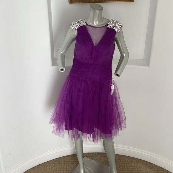 KATHY HILTON Raspberry Fit & Flare Mesh Dress Beads Embellished Shoulder Size 10 - Picture 11 of 14